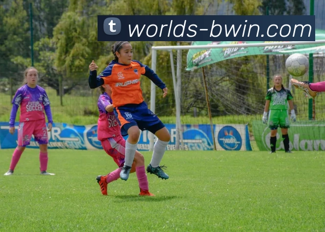 Bwin必赢官网全站App